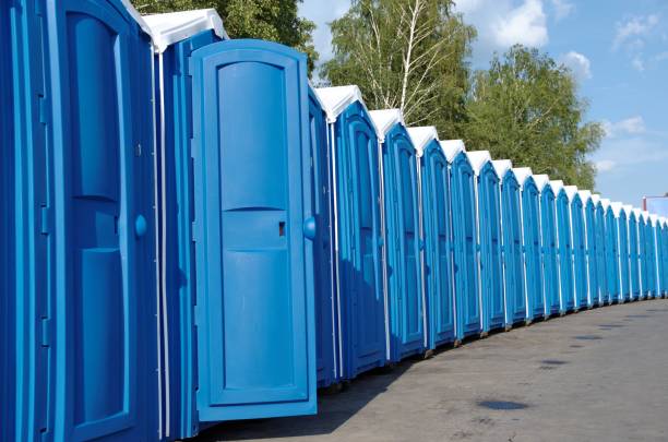 Best Local porta potty services  in Hart, MI